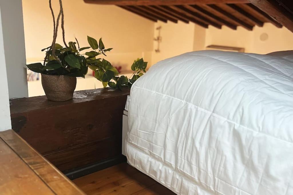 Romantic Apartment In Firenze Eksteriør bilde